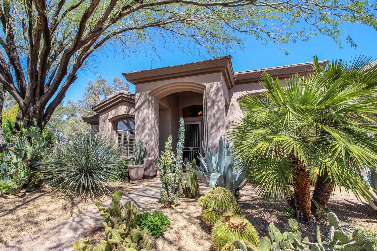 Desert home with palms, agave and cactus landscaping